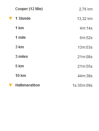 Halbmarathon Rekord 08.03.2014-BEST
